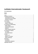 Leitfaden_Internationale_Arbeit_Modul_Delegationsleitung